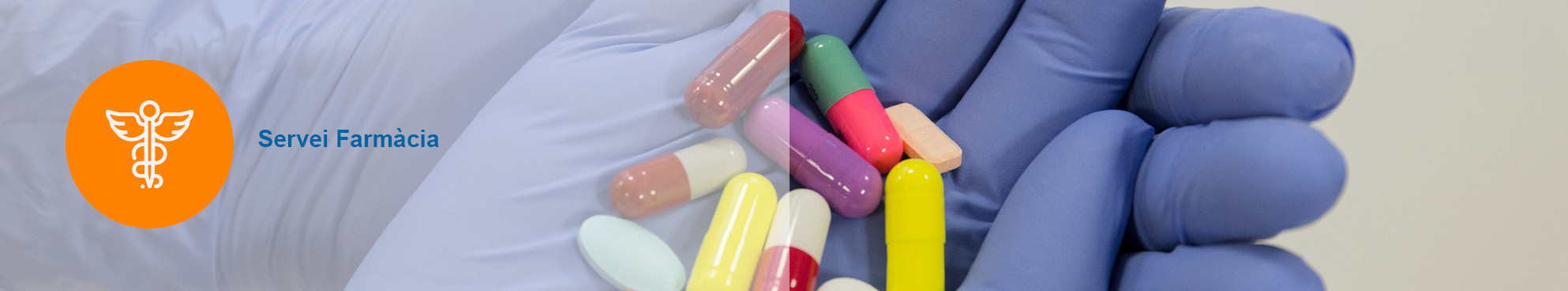 Imatge Servei Farmacia