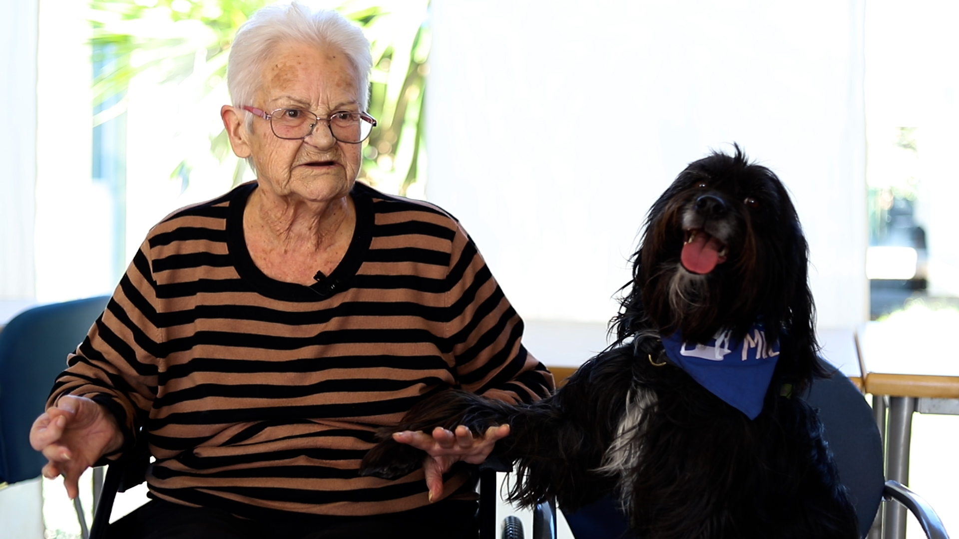 Experiència de pacient 