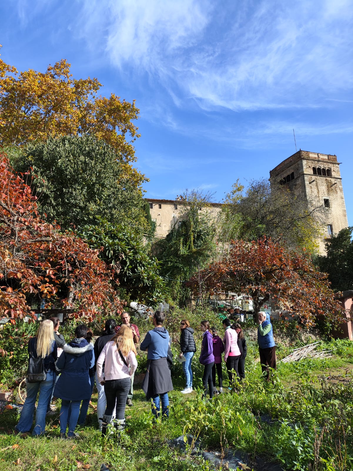 Model d'organització saludable: BSActivament