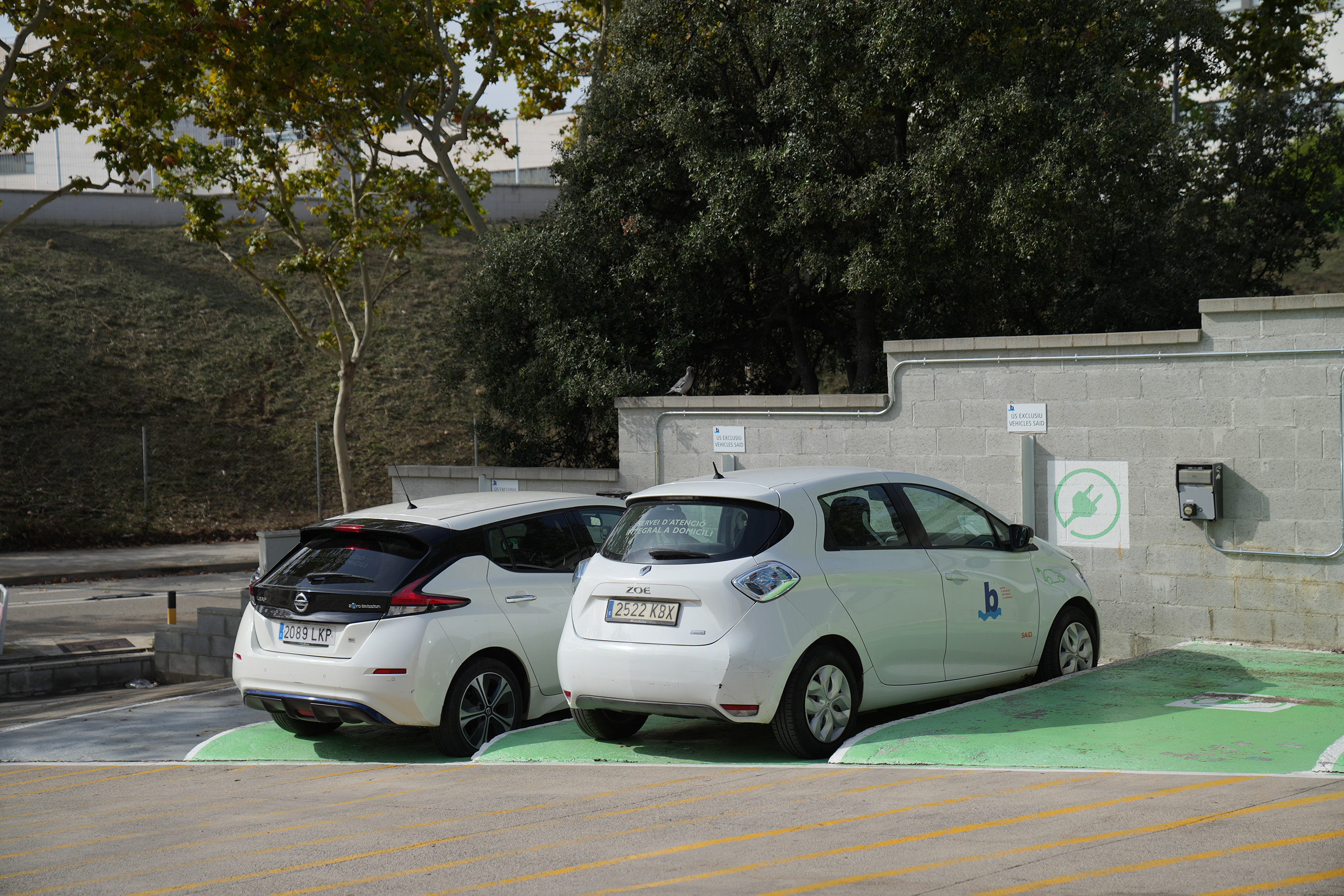 Amb la sostenibilitat